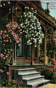 Vtg 1920s What are California Homes Look Like in Winter Flowers CA Postcard