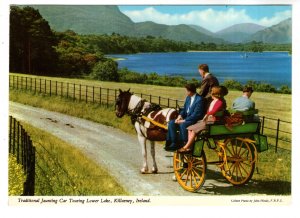 Traditional Jaunting Horse Car Touring Lower Lake, Killarney Ireland, Used 1960