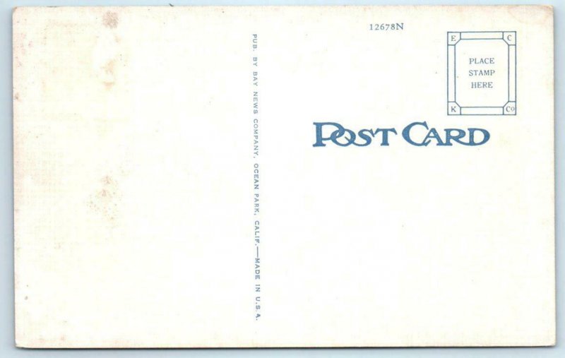 SANTA MONICA, CA  County Bathing Beach ROOSEVELT HIGHWAY ca 1940s  Postcard