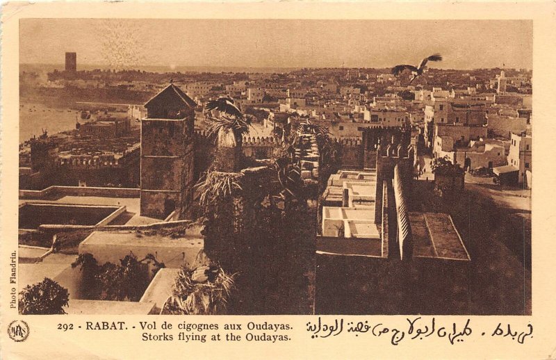 Lot 25 storks flying at the outdayas rabat  morocco he Kasbah of the Udayas