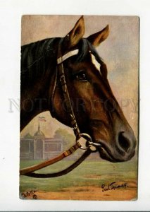 3160734 German Race HORSE Hippodrome by THOMAS Vintage TUCK PC