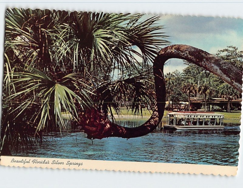 Postcard Beautiful Florida's Silver Springs, Florida