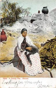 Donkey Family Pet Sitting on Woman Mexico 1907 postcard
