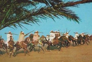 Marruecos Tipico Moroccan Morocco Rifle Display Mounted Horse Parade Postcard
