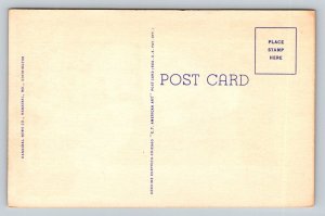 Mark Twain   Hannibal  Missouri    Postcard