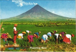 PC PHILIPPINES, PLANTING RICE, Modern Postcard (B40293)