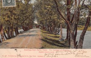 MARLIN TEXAS LOVERS LANE~CARLSBAD OF AMERICA~LANGSDORF UDB POSTCARD c1906