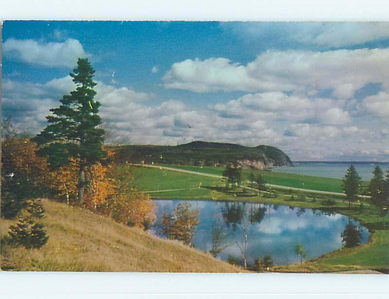 Unused Pre-1980 TOWN VIEW SCENE Alma New Brunswick NB p8843