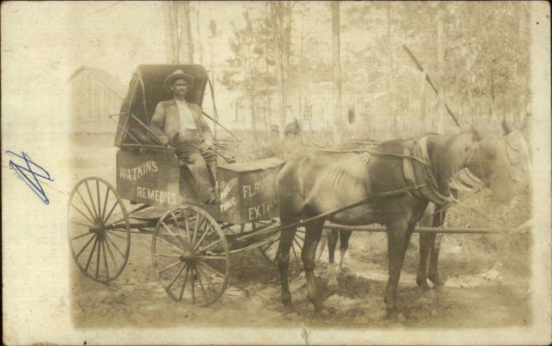 Watkins Remedies Horse Advertising Wagon c1910 Real Photo Postcard