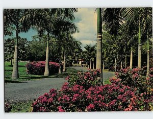 Postcard Entrance Drive, St. Croix, U.S. Virgin Islands