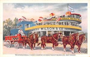 Six Horse Team of Wilson & Co, Meat Packers Advertising Unused 