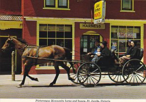 Mennonite Horse and Buggy Street Scene St Jacobs Ontario Canada