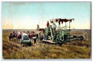 Fresno County California Postcard Harvesting Exterior Field 1910 Vintage Antique