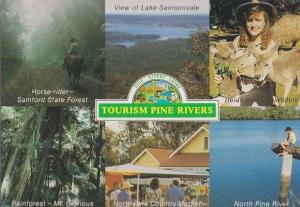 Australian Tourism Pine Rivers Samford State Forest North Pine Market Postcard