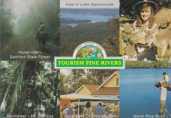 Australian Tourism Pine Rivers Samford State Forest North Pine Market Postcard