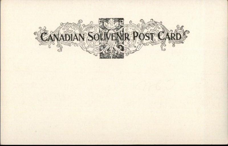 Field BC British Columbia Mount Stephen House Hotel c1905 Postcard EXC COND