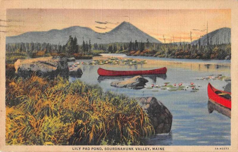 Sourdnahunk Valley Maine Lily Pad Pond Canoeing Vintage Postcard JE229089