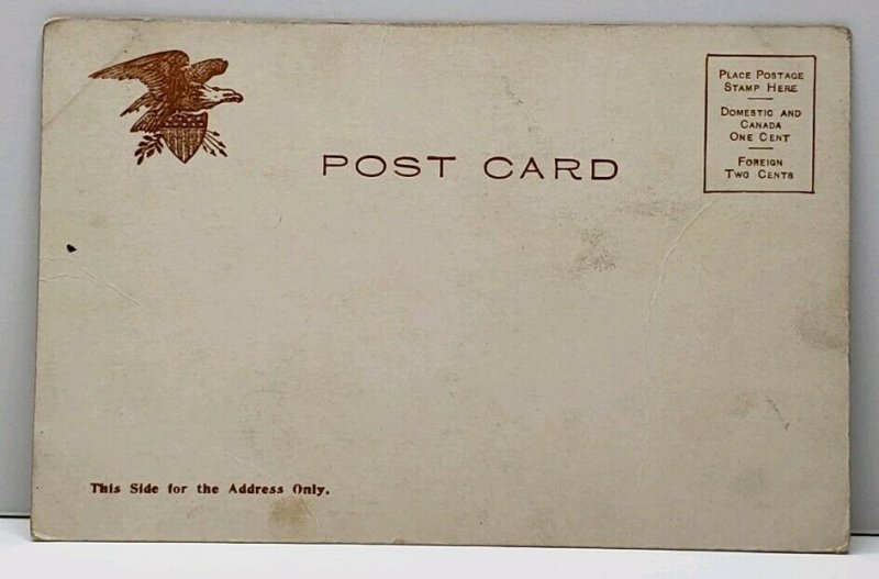 Harrisburg  Pa High School c1906 Postcard G4