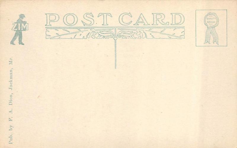 JACKMAN, ME Maine   LAKE PARLIN   Somerset County     c1910's Postcard