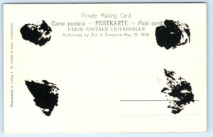 Steamer Koning Albert Steamship Postcard Ocean Liner Ship