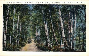 Long Island New York NY Merrick Greetings Vintage Postcard