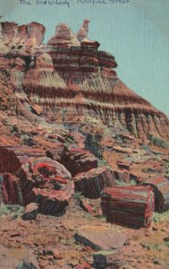 Vintage Postcard The Snow Lady Near Eagle Nest Rock Petrified Forest Arizona AZ