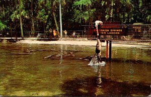 Florida Homosassa Springs Feeding The Alligators