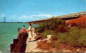 Florida Keys Fishing Beside The Overseas Highway