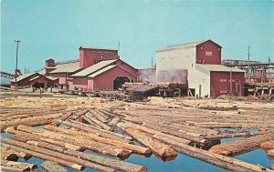 Fort Bragg California Logging Lumber Main Sawmill Barker Postcard Freitas 9947