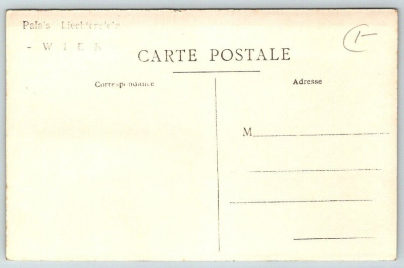 RPPC  Vienna  Austria  Liechtenstein City Palace Postcard