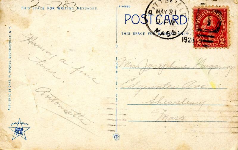 MA - Berkshires. Jacob's Ladder Trail, Observation Tower at Summit