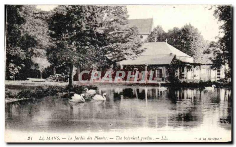 Old Postcard Le mans garden plants Swan