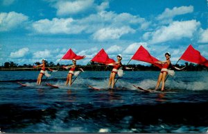 Florida Cypress Gardens Water Ski Show Aquamaids 1957