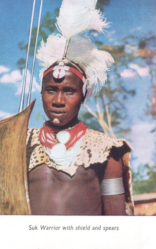 Suk Warrior With Shield & Spears Old African Rhodesia Postcard