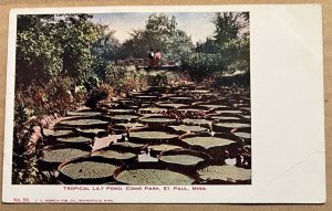 VINTAGE .01 POSTCARD - UNUSED - TROPICAL LILY POND, COMO PARK, ST. PAUL, MINN.