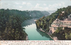 New York Rochester View Of The Genesee River Gorge Looking North From Seneca ...