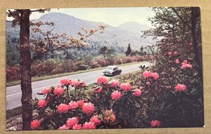 VINTAGE  UNUSED POSTCARD - HOOD CANAL, OLYMPIC PENINSULA, WASHINGTON