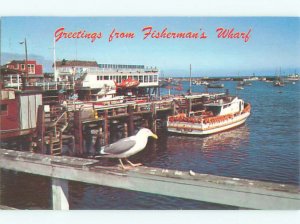 Pre-1980 BOAT SCENE Monterey California CA AF3724