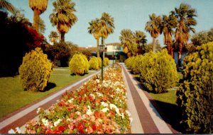 California Palm Springs Horace Heidt's Lone Palm Hotel