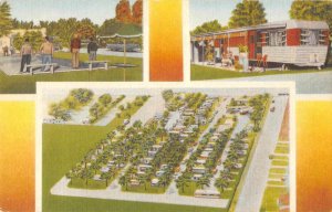 Mesa Arizona Paradise Palms Trailer Park Vintage Postcard AA6560