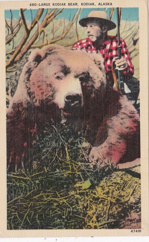 Alaska Kodiak Island Hunter With Large Kodiak Bear sk6580