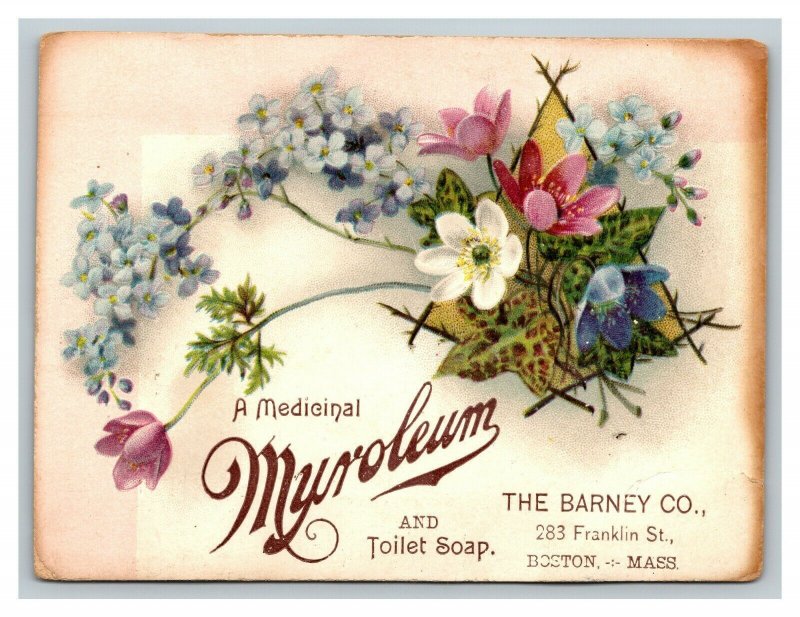 Vintage 1890's Trade Card - Medicinal Myroleum Toilet Soap Boston MA - Quack Med