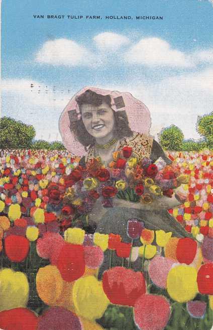 Van Bragt Tulip Farm - Flowers - Holland MI, Michigan - pm 1949 - Linen