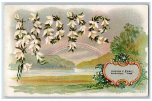 Language Of Flowers Romance Postcard Snowdrops Hope Carbondale Illinois IL 1909