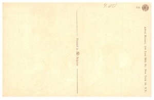 Dog , German Shepherd