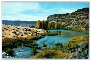 Twin Falls Idaho Postcard Footbridge Lower Lake Country Club Magic Valley c1960