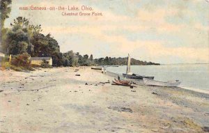 Chestnut Grove Point Shoreline Geneva on the Lake Erie Ohio 1908 postcard