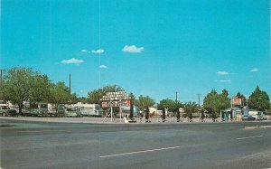 Postcard New Mexico Deming Martins Trailer Park 1960s roadside 23-9187