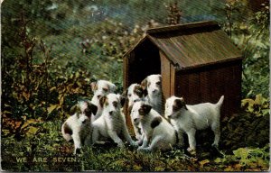 We Are Seven Little Puppies, Tucks 4448, Pretty Puppies Vintage Postcard V63