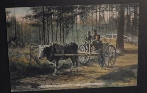 Mint United States USA Postcard The Charcoal Burner Pinehurst NC Ox Wagon